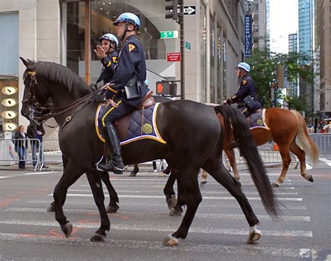 New York Police Department's 10-Foot Cops (Mounted Unit) T… | Flickr