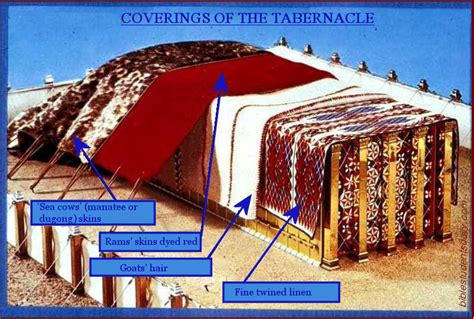 STUDY 8: The Tabernacle Coverings – BIBLE Students DAILY