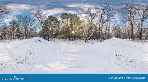 Winter Full Spherical Hdri Panorama 360 Degrees Angle View in Snowy ...