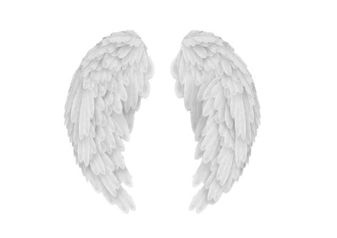 Free Angel Wings Png, Download Free Angel Wings Png png images, Free ...