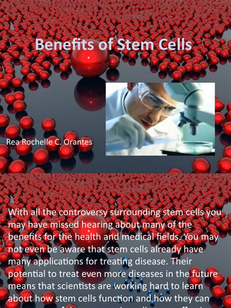 Benefits of Stem Cells | PDF | Stem Cell | Organ Transplantation