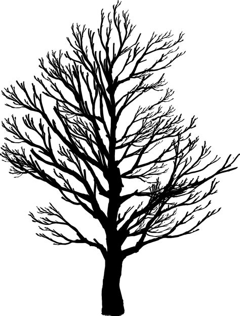 Winter Tree Silhouette Clip Art at GetDrawings | Free download