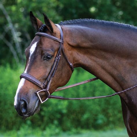 Ovation® Fancy Stitched Wide Nose Padded Bridle | Schneiders Saddlery