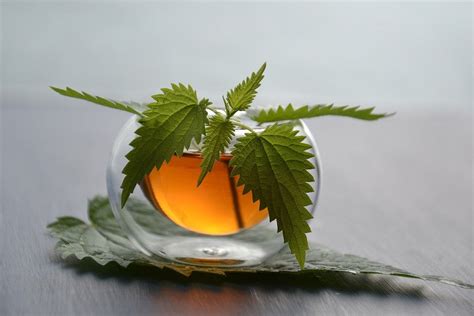 Reasons To Love Herbal Infusions…. Even If You Don’t Drink Tea