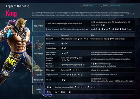 Overview and Guide for King | Tekken 8 Combo