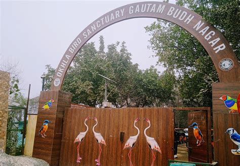 Okhla Bird Sanctuary: Metro Station, Ticket Price & Timings - Jovial ...