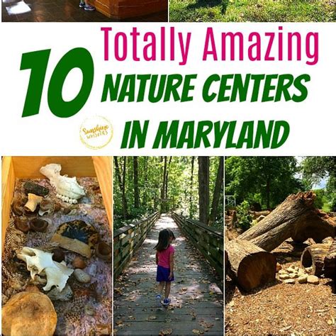 10 Nature Centers In Maryland That Will Spark Your Child's Love Of ...