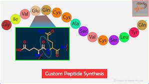 Peptide Synthesis-PremierBiochem-Professional dynamic and growing ...