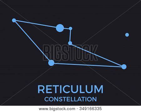 Reticulum Vector & Photo (Free Trial) | Bigstock