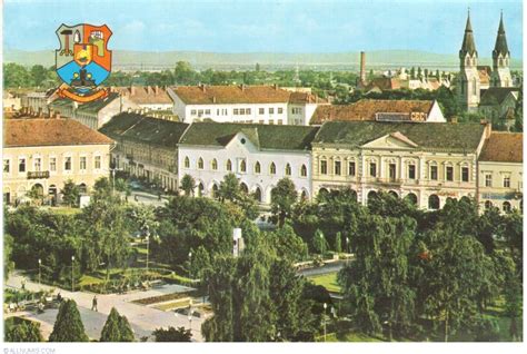 Satu Mare, Satu Mare - Romania - Postcard - 35892