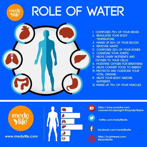 The Amazing Benefits of Drinking Water - Medy Life | Benefits of ...