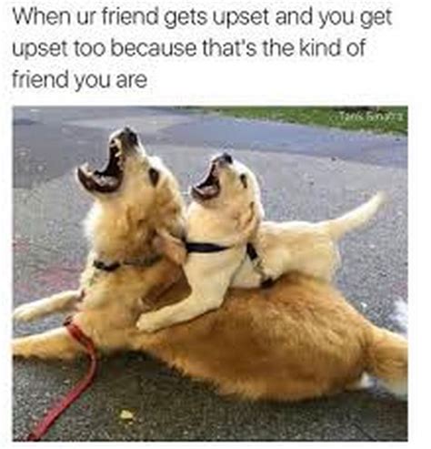 65 Best Funny Friend Memes to Celebrate Best Friends