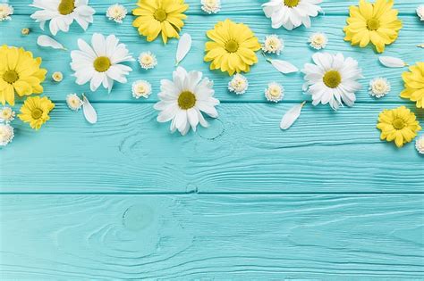 HD wallpaper: flowers, chamomile, yellow, white, wood, blue, blue ...