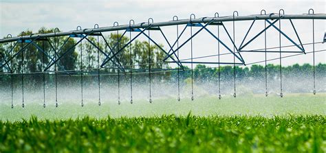 Irrigation Systems: What are They and Why You Need One - AGRIVI