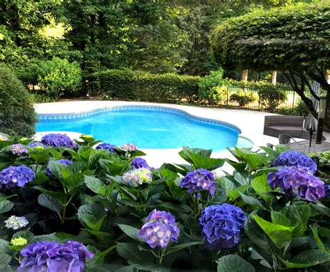 Landscaping Swimming Pools - Tips by a Pool Owner | Inground pool ...