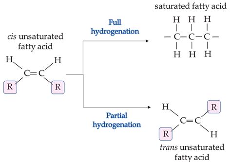 Hydrogenated Oil Structure