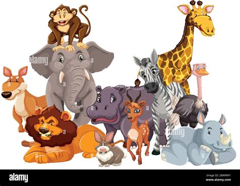 Group of wild animal illustration Stock Vector Image & Art - Alamy