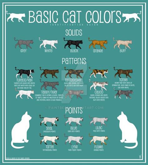 Cat Color Chart by paintbean on DeviantArt | Cat colors, Cat breeds ...