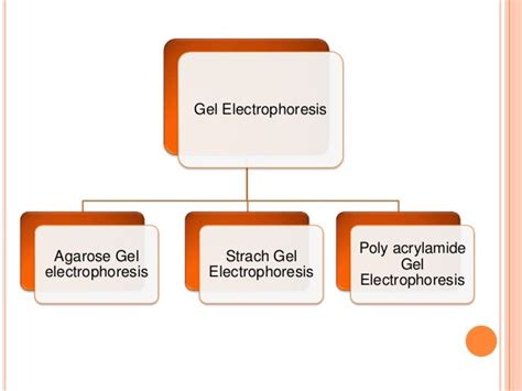 Poly acrylamide gel electrophoresis (page)