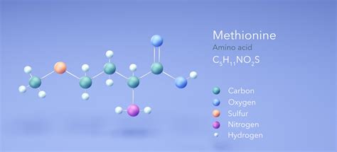 3 Unique Benefits Of Methionine