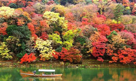 東京のおすすめ紅葉バスツアー！美しい赤の絶景を満喫しよう | 癒しモーメント