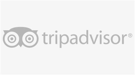 Icona Tripadvisor - Transparent Background Tripadvisor Logo, HD Png ...