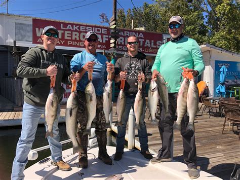 Fall Fishing on Lake Martin - Lake Martin Voice - Lake Martin Real ...