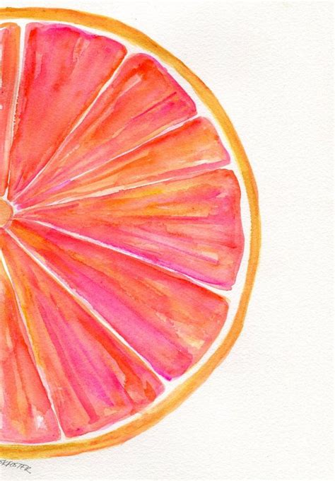 Grapefruit Drawing at PaintingValley.com | Explore collection of ...