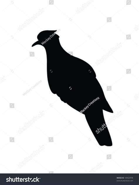 Turtle Dove Vector Illustration Stock Vector (Royalty Free) 10552978 ...