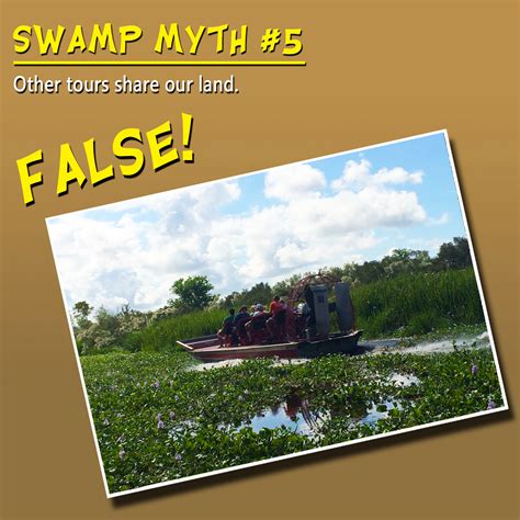 Five Myths of the Swamp | Jean Lafitte Swamp Tours