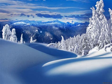 Beautiful Winter Wonderland Wallpaper – Telegraph