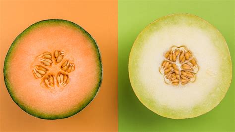 What Makes Honeydew Different From Cantaloupe?