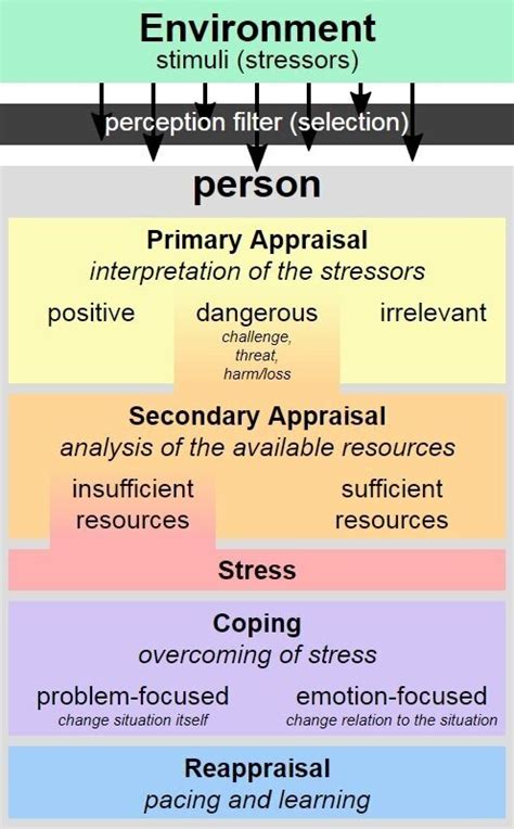 Cognitive Appraisal Theory of Emotion | Erik Anderson Therapy