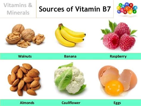 Important Vitamins & Minerals For Increased Sex Drive | UF