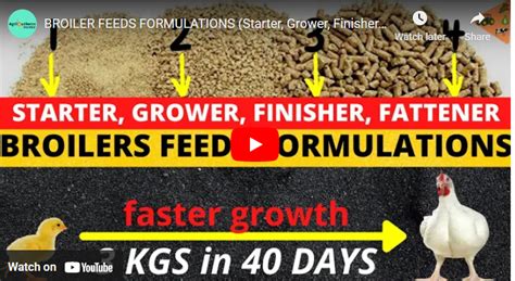 [Beginners Guide] How To Formulate Poultry Feed PDF - Agrolearner.com