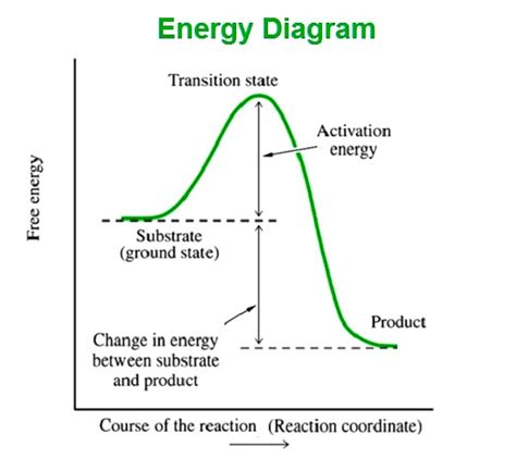 Energy Diagram Labeled