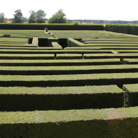 Hedge Maze Designs: A Complete Guide to Designing a Unique and ...