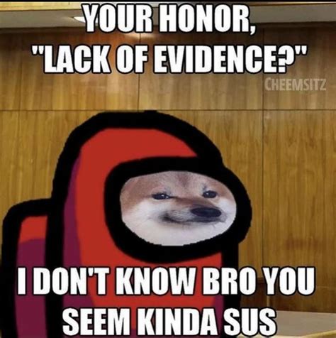 Your honor, Lack of evidence? | Sus | Know Your Meme