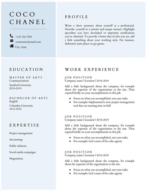 Artist Resume Template Google Docs