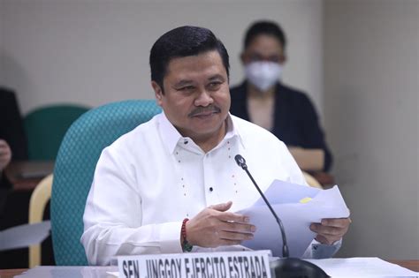 Jinggoy hopeful for favorable decision on plunder case