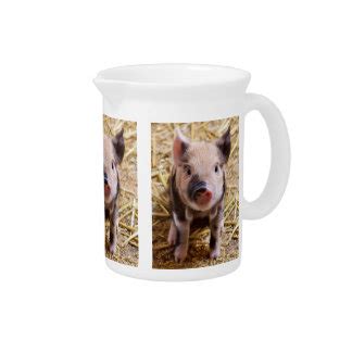 Cute Baby Piglet Farm Animals Barnyard Babies Pitcher