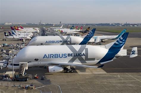 How The Pandemic Has Impacted Airbus Beluga & Boeing Dreamlifter Flights