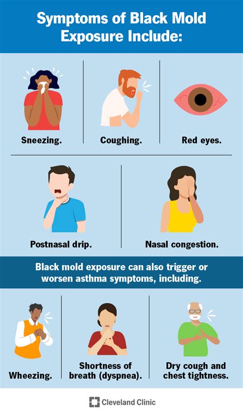 Black Mold Exposure: Symptoms, Risks & Treatment