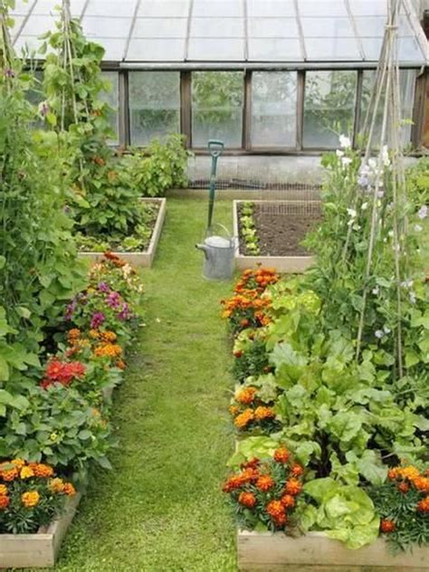 Backyard Vegetable Garden Ideas Florida - South Florida Chefs Grow ...