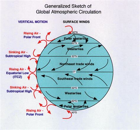 Boundaries between circulation cells: air moves vertically & surface ...