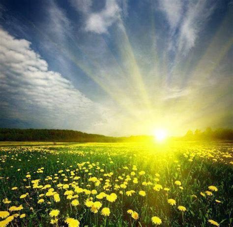 Oh glorious sunshine! | Beautiful nature, Scenery, Landscape