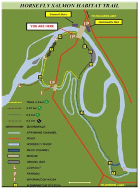 Salmon Habitat Trail Map – Horsefly Community Website