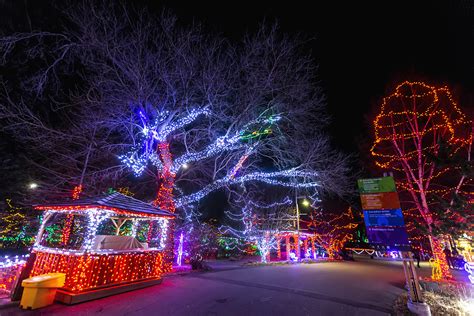 Photos: Calgary Zoo celebrates quarter century of Zoolights - LiveWire ...