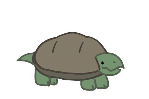 Turtle Gif - IceGif