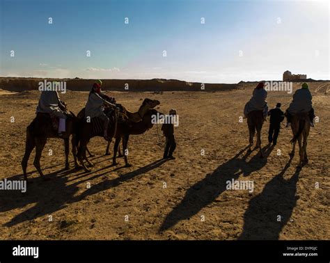 Camel ride in Sahara desert in Tunisia Stock Photo - Alamy